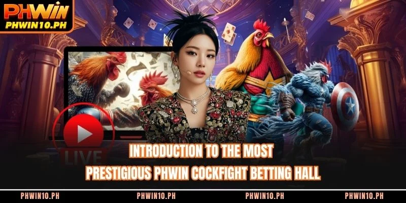 Introduction to the most prestigious PHWIN cockfight betting hall
